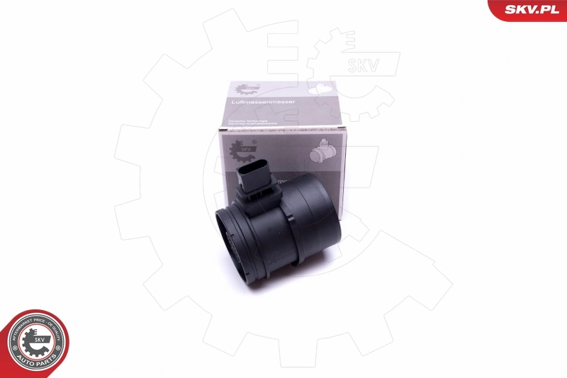 Mass Air Flow Sensor